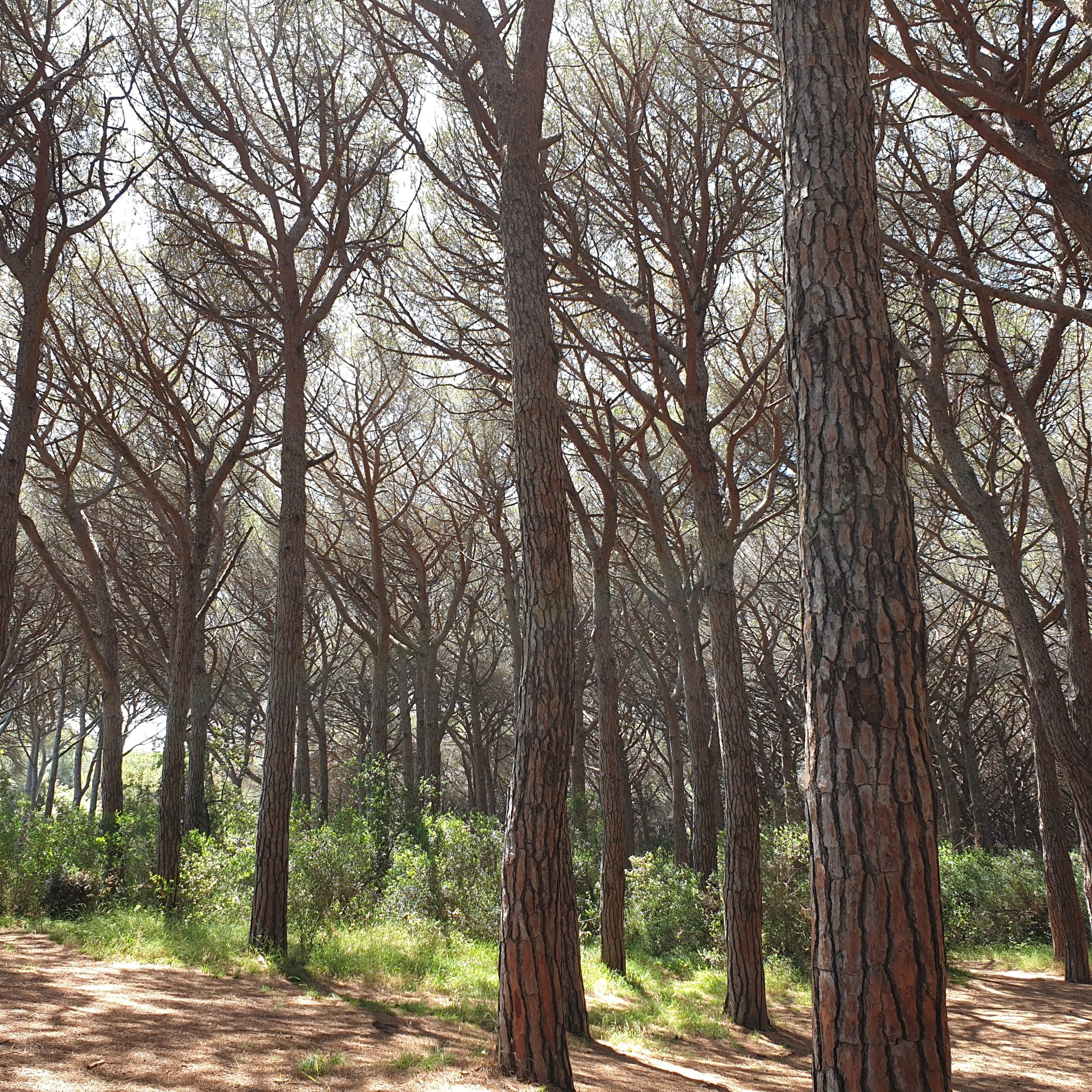 IL CONTATTO CON LA NATURA COME ATTO DI RIVOLUZIONE CULTURALE ” – SEMINARIO RESIDENZIALE